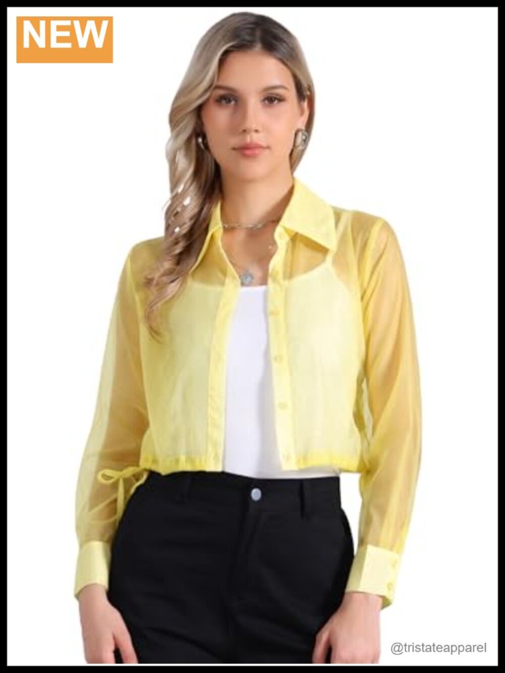 Sheer Mesh Blouse Point Collar Drawstring Hem Long Sleeve
